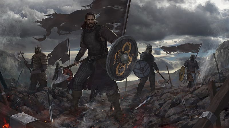 Vikings Banner 1